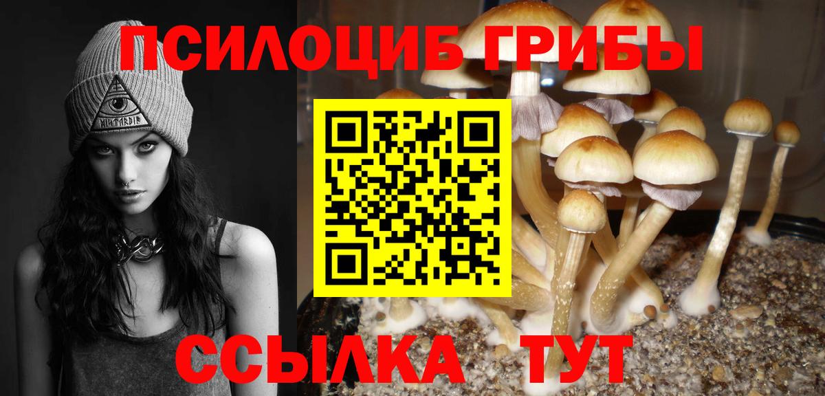 Псилоцибиновые грибы прущие грибы Советск