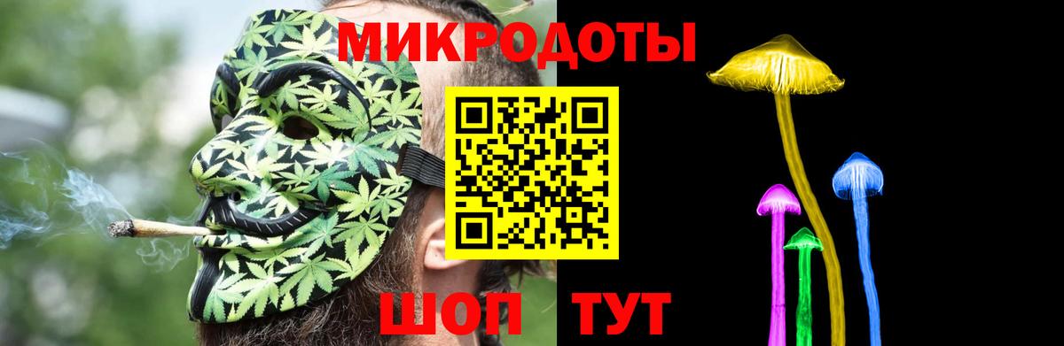 Галлюциногенные грибы Psilocybine cubensis  Вход с VPN  Советск 